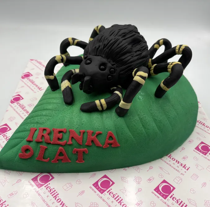 Tort z Pająkiem